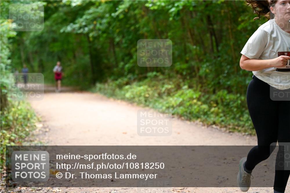 11.10.2026 - Bramfelder Halbmarathon 2026 Dr. Thomas Lammeyer http://msf.ph/oto/10818250 11.10.2026 10:01:29 Laufen  meine-sportfotos.de