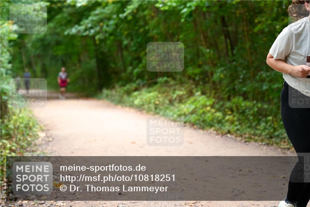 11.10.2026 - Bramfelder Halbmarathon 2026 Dr. Thomas Lammeyer http://msf.ph/oto/10818251 11.10.2026 10:01:29 Laufen  meine-sportfotos.de