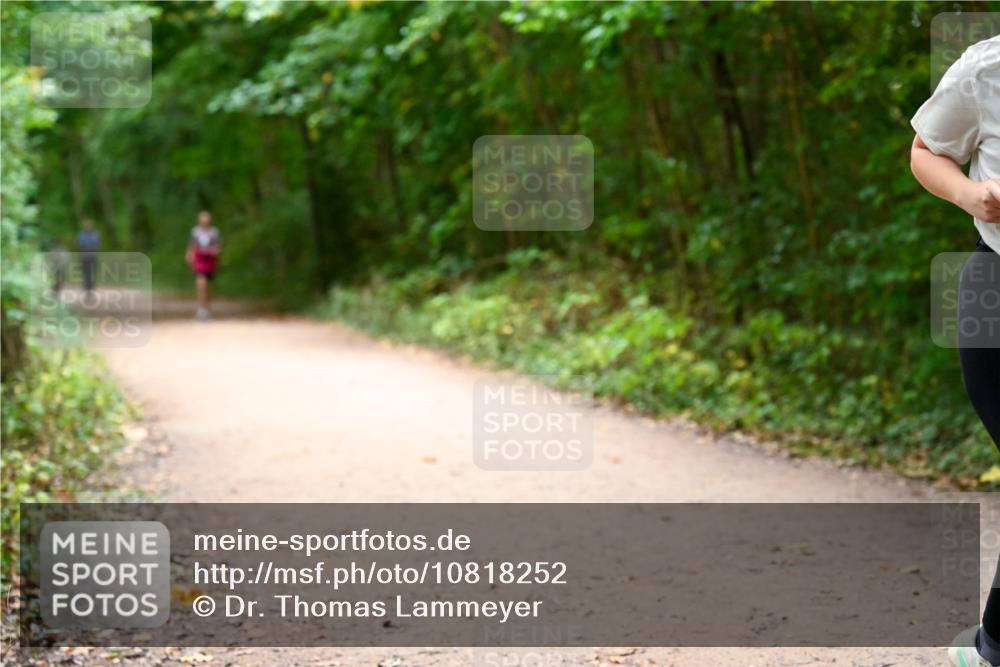 11.10.2026 - Bramfelder Halbmarathon 2026 Dr. Thomas Lammeyer http://msf.ph/oto/10818252 11.10.2026 10:01:29 Laufen  meine-sportfotos.de