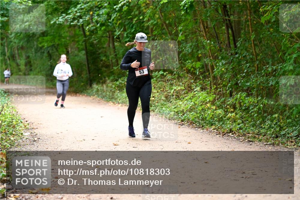 11.10.2026 - Bramfelder Halbmarathon 2026 Dr. Thomas Lammeyer http://msf.ph/oto/10818303 11.10.2026 10:01:54 Laufen 53 meine-sportfotos.de