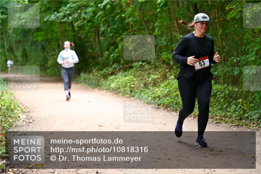 11.10.2026 - Bramfelder Halbmarathon 2026 Dr. Thomas Lammeyer http://msf.ph/oto/10818316 11.10.2026 10:01:56 Laufen 53 meine-sportfotos.de