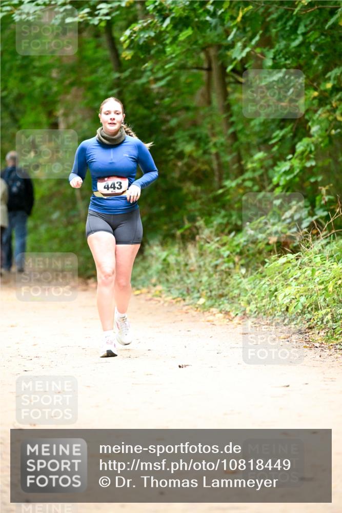 11.10.2026 - Bramfelder Halbmarathon 2026 Dr. Thomas Lammeyer http://msf.ph/oto/10818449 11.10.2026 10:04:09 Laufen 443 meine-sportfotos.de