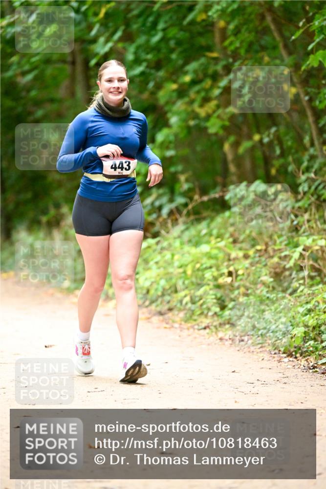 11.10.2026 - Bramfelder Halbmarathon 2026 Dr. Thomas Lammeyer http://msf.ph/oto/10818463 11.10.2026 10:04:11 Laufen 443 meine-sportfotos.de