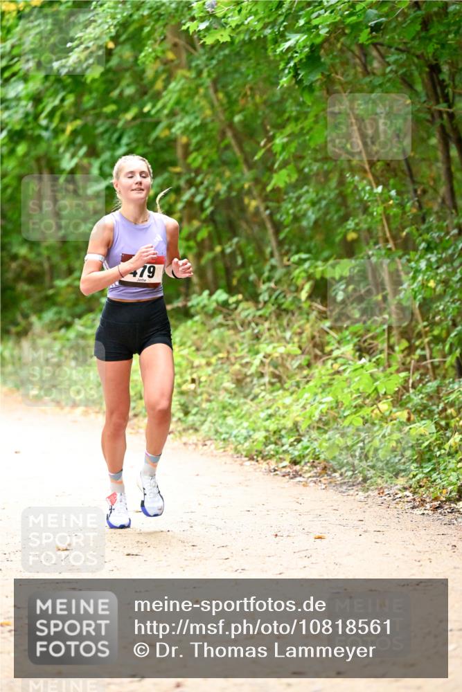 11.10.2026 - Bramfelder Halbmarathon 2026 Dr. Thomas Lammeyer http://msf.ph/oto/10818561 11.10.2026 10:05:51 Laufen 79 meine-sportfotos.de