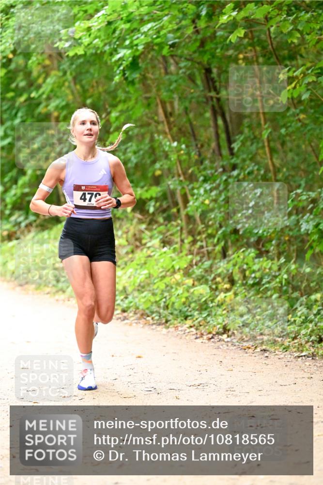 11.10.2026 - Bramfelder Halbmarathon 2026 Dr. Thomas Lammeyer http://msf.ph/oto/10818565 11.10.2026 10:05:52 Laufen 47 meine-sportfotos.de
