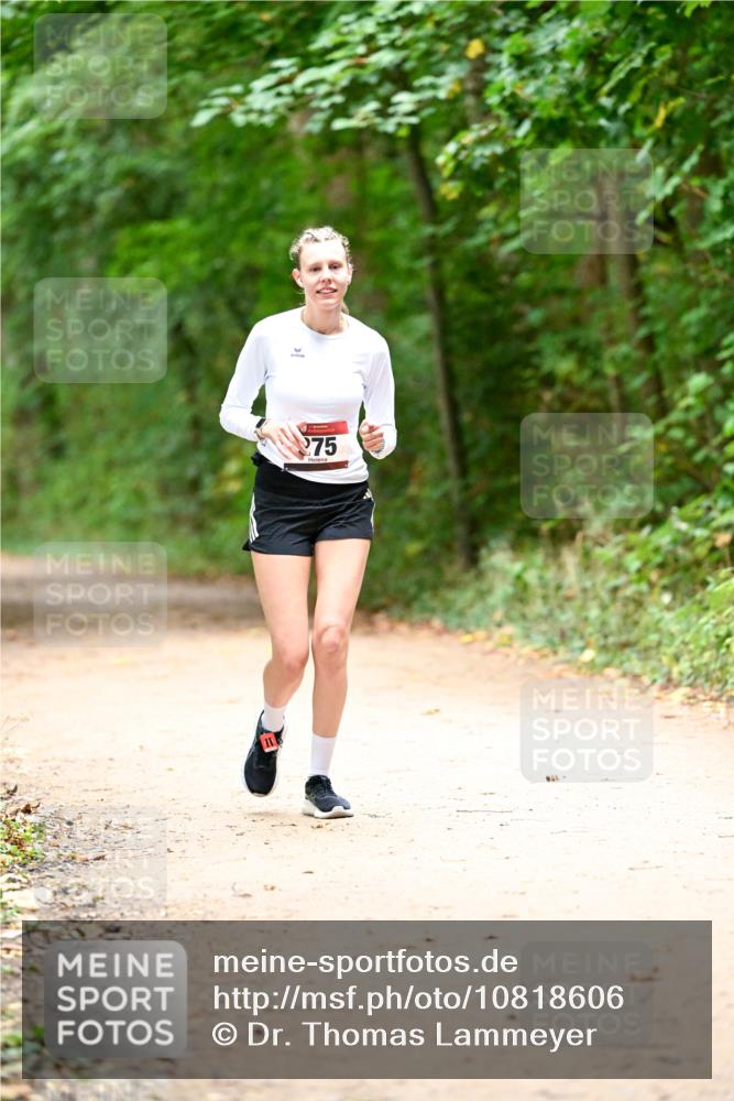 11.10.2026 - Bramfelder Halbmarathon 2026 Dr. Thomas Lammeyer http://msf.ph/oto/10818606 11.10.2026 10:06:30 Laufen 75 meine-sportfotos.de