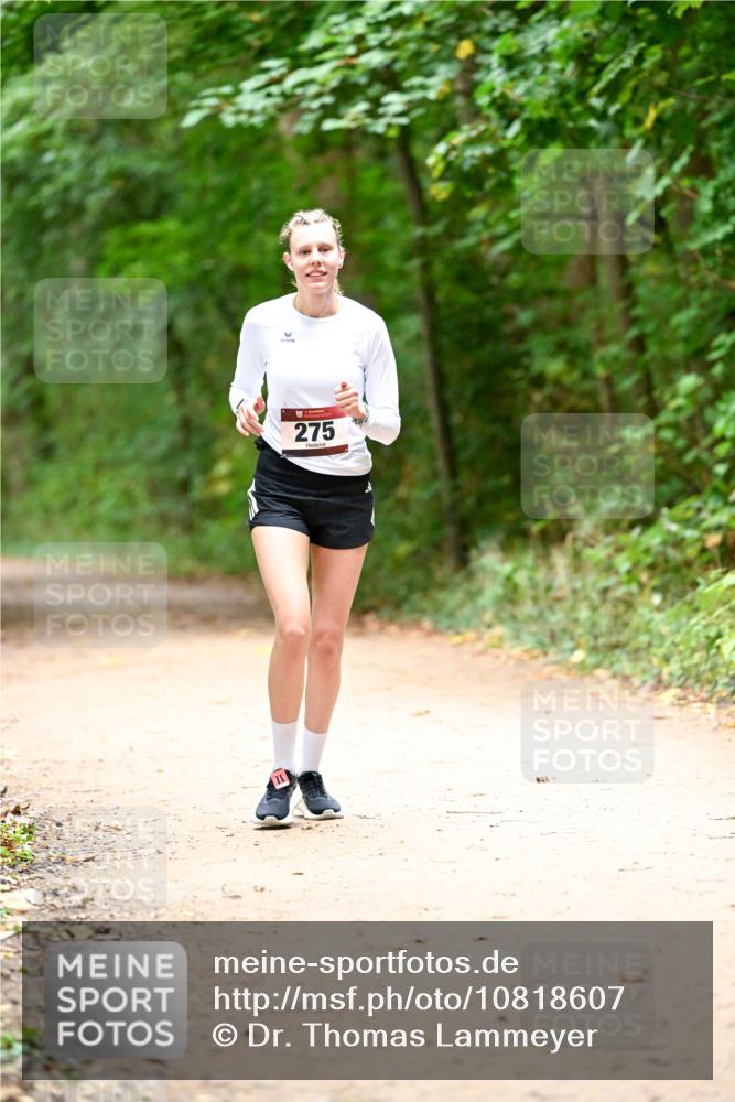 11.10.2026 - Bramfelder Halbmarathon 2026 Dr. Thomas Lammeyer http://msf.ph/oto/10818607 11.10.2026 10:06:30 Laufen 275 meine-sportfotos.de