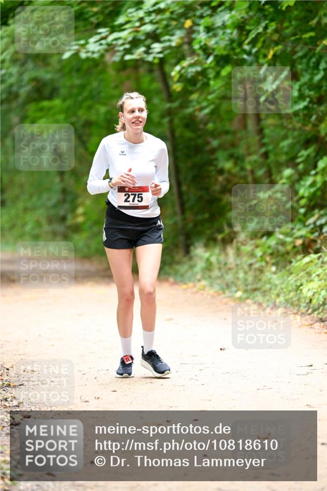 11.10.2026 - Bramfelder Halbmarathon 2026 Dr. Thomas Lammeyer http://msf.ph/oto/10818610 11.10.2026 10:06:30 Laufen 275 meine-sportfotos.de