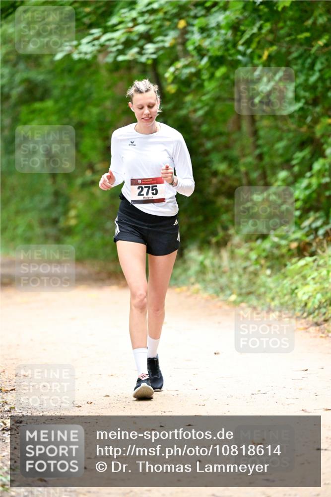 11.10.2026 - Bramfelder Halbmarathon 2026 Dr. Thomas Lammeyer http://msf.ph/oto/10818614 11.10.2026 10:06:31 Laufen 275 meine-sportfotos.de