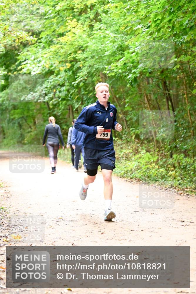 11.10.2026 - Bramfelder Halbmarathon 2026 Dr. Thomas Lammeyer http://msf.ph/oto/10818821 11.10.2026 10:09:31 Laufen 5, 799 meine-sportfotos.de