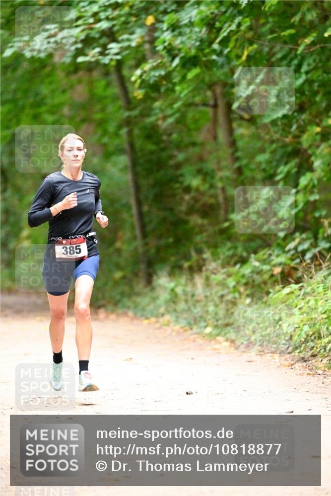 11.10.2026 - Bramfelder Halbmarathon 2026 Dr. Thomas Lammeyer http://msf.ph/oto/10818877 11.10.2026 10:10:12 Laufen 385 meine-sportfotos.de