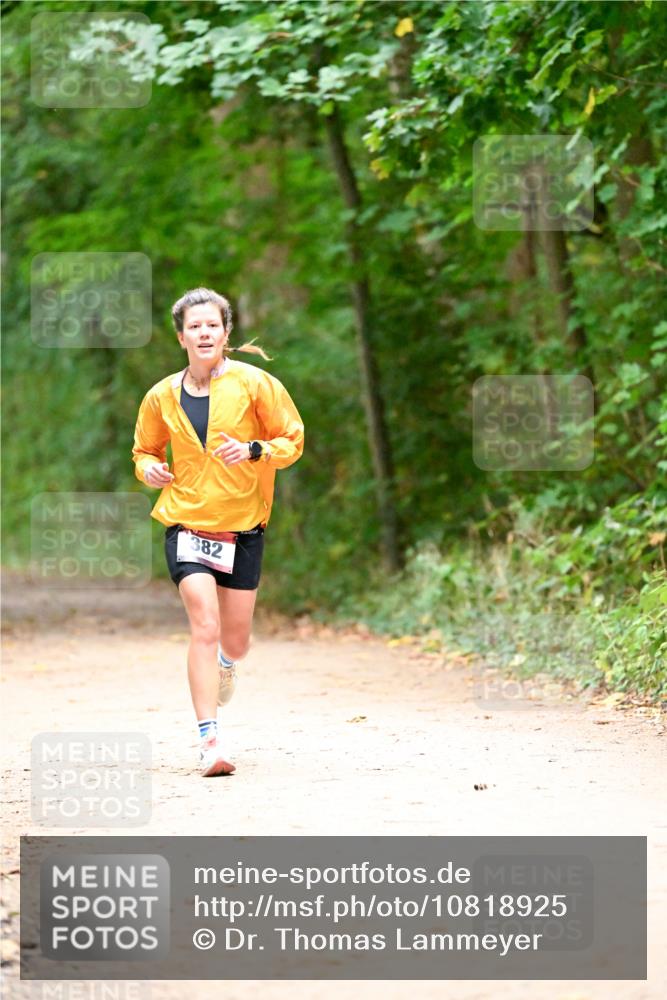 11.10.2026 - Bramfelder Halbmarathon 2026 Dr. Thomas Lammeyer http://msf.ph/oto/10818925 11.10.2026 10:10:30 Laufen 382 meine-sportfotos.de