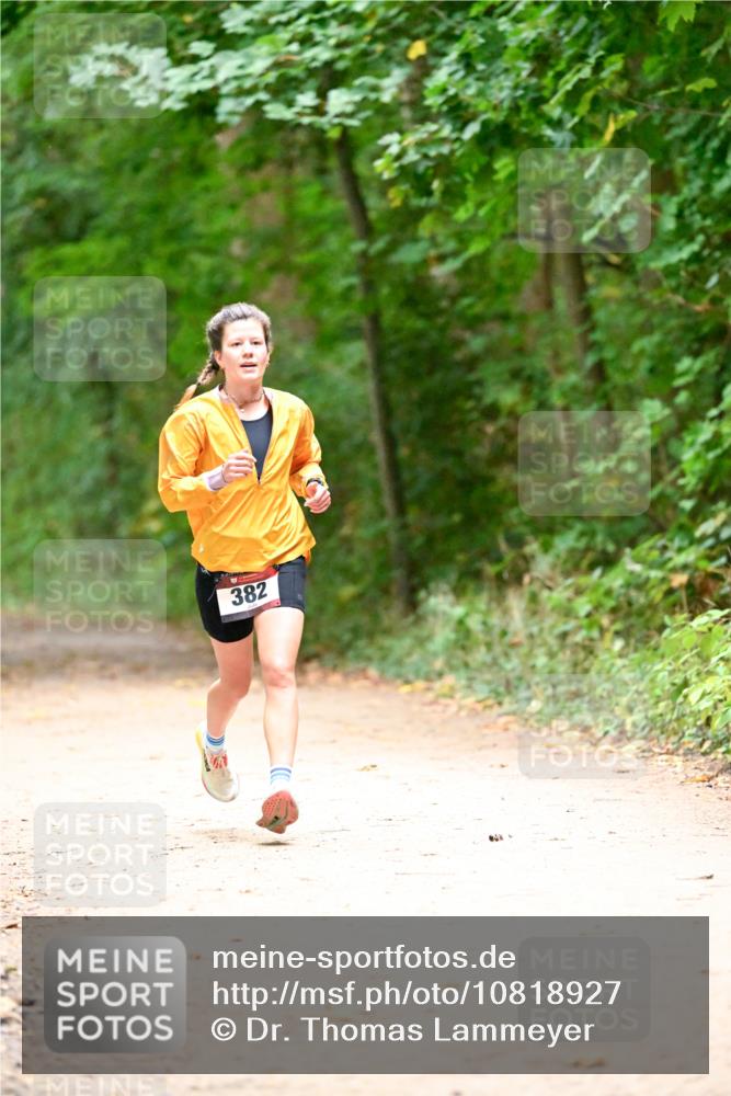 11.10.2026 - Bramfelder Halbmarathon 2026 Dr. Thomas Lammeyer http://msf.ph/oto/10818927 11.10.2026 10:10:30 Laufen 382 meine-sportfotos.de