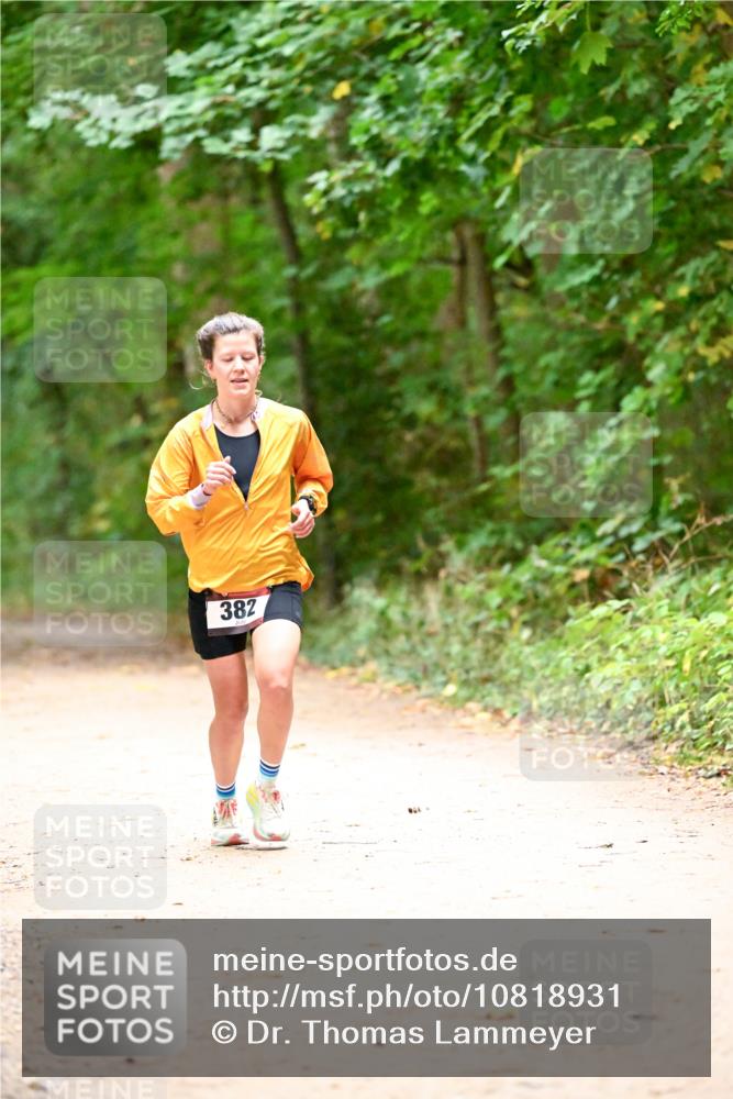 11.10.2026 - Bramfelder Halbmarathon 2026 Dr. Thomas Lammeyer http://msf.ph/oto/10818931 11.10.2026 10:10:31 Laufen 382 meine-sportfotos.de