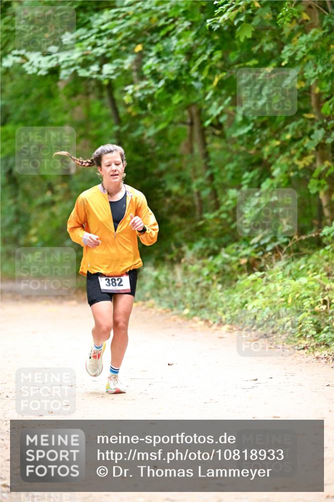11.10.2026 - Bramfelder Halbmarathon 2026 Dr. Thomas Lammeyer http://msf.ph/oto/10818933 11.10.2026 10:10:31 Laufen 382 meine-sportfotos.de