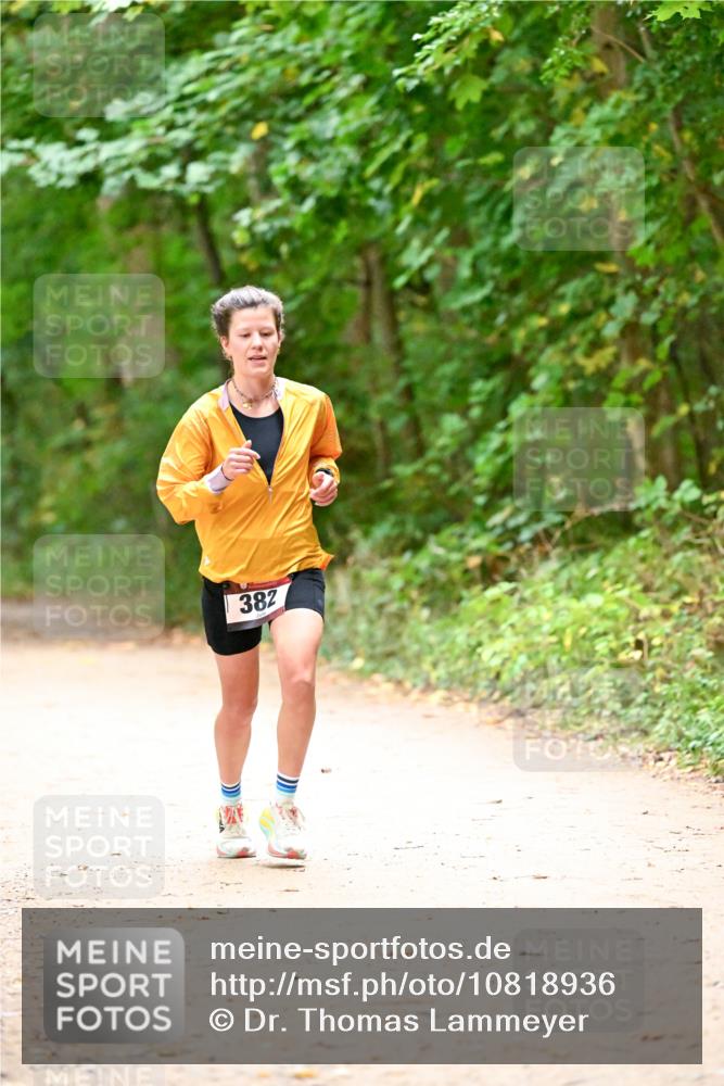 11.10.2026 - Bramfelder Halbmarathon 2026 Dr. Thomas Lammeyer http://msf.ph/oto/10818936 11.10.2026 10:10:32 Laufen 382 meine-sportfotos.de