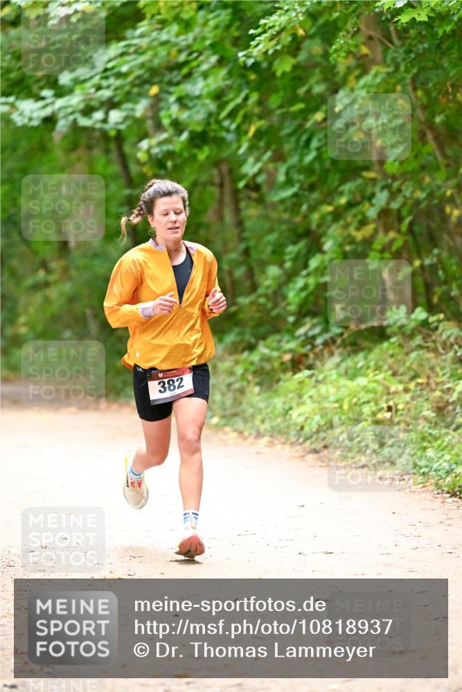 11.10.2026 - Bramfelder Halbmarathon 2026 Dr. Thomas Lammeyer http://msf.ph/oto/10818937 11.10.2026 10:10:32 Laufen 382 meine-sportfotos.de