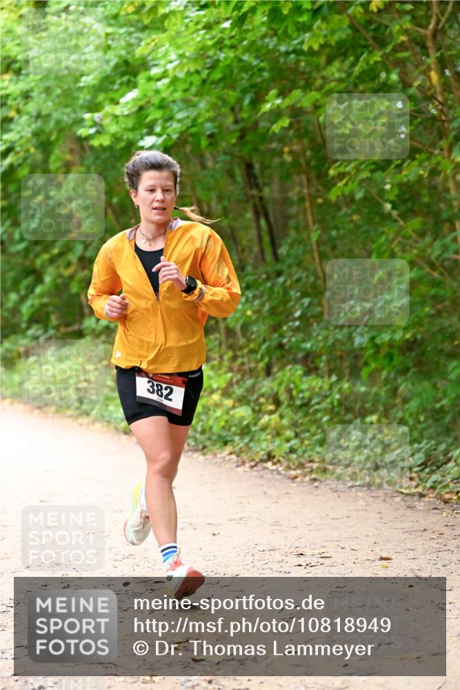 11.10.2026 - Bramfelder Halbmarathon 2026 Dr. Thomas Lammeyer http://msf.ph/oto/10818949 11.10.2026 10:10:33 Laufen 382 meine-sportfotos.de