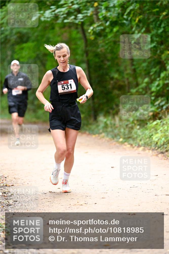 11.10.2026 - Bramfelder Halbmarathon 2026 Dr. Thomas Lammeyer http://msf.ph/oto/10818985 11.10.2026 10:10:58 Laufen 289, 531 meine-sportfotos.de