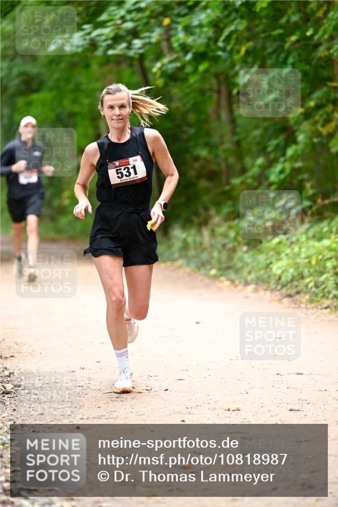 11.10.2026 - Bramfelder Halbmarathon 2026 Dr. Thomas Lammeyer http://msf.ph/oto/10818987 11.10.2026 10:10:58 Laufen 531, 289 meine-sportfotos.de