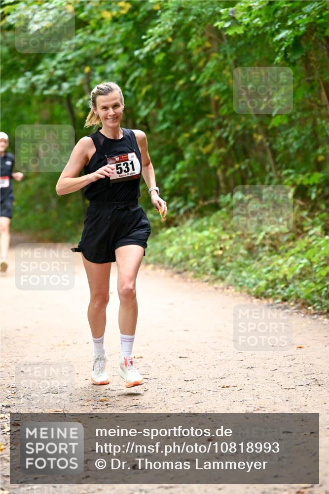 11.10.2026 - Bramfelder Halbmarathon 2026 Dr. Thomas Lammeyer http://msf.ph/oto/10818993 11.10.2026 10:10:59 Laufen 531 meine-sportfotos.de