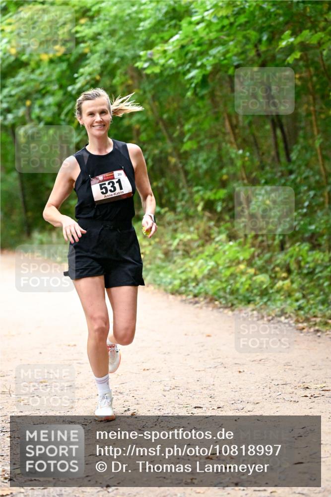 11.10.2026 - Bramfelder Halbmarathon 2026 Dr. Thomas Lammeyer http://msf.ph/oto/10818997 11.10.2026 10:10:59 Laufen 531, 289 meine-sportfotos.de