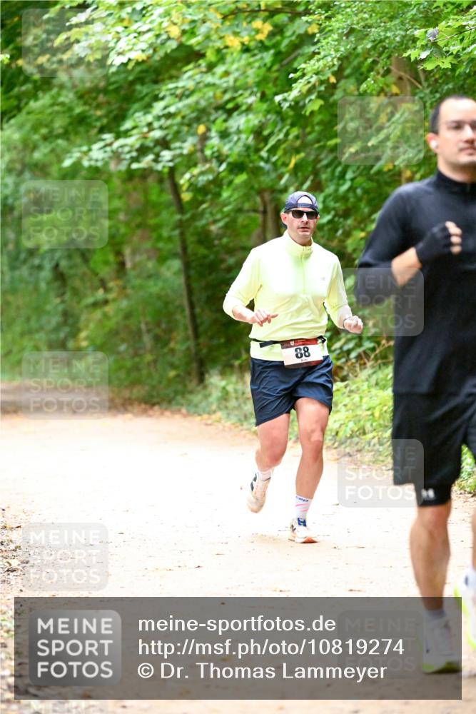 11.10.2026 - Bramfelder Halbmarathon 2026 Dr. Thomas Lammeyer http://msf.ph/oto/10819274 11.10.2026 10:12:58 Laufen 88 meine-sportfotos.de