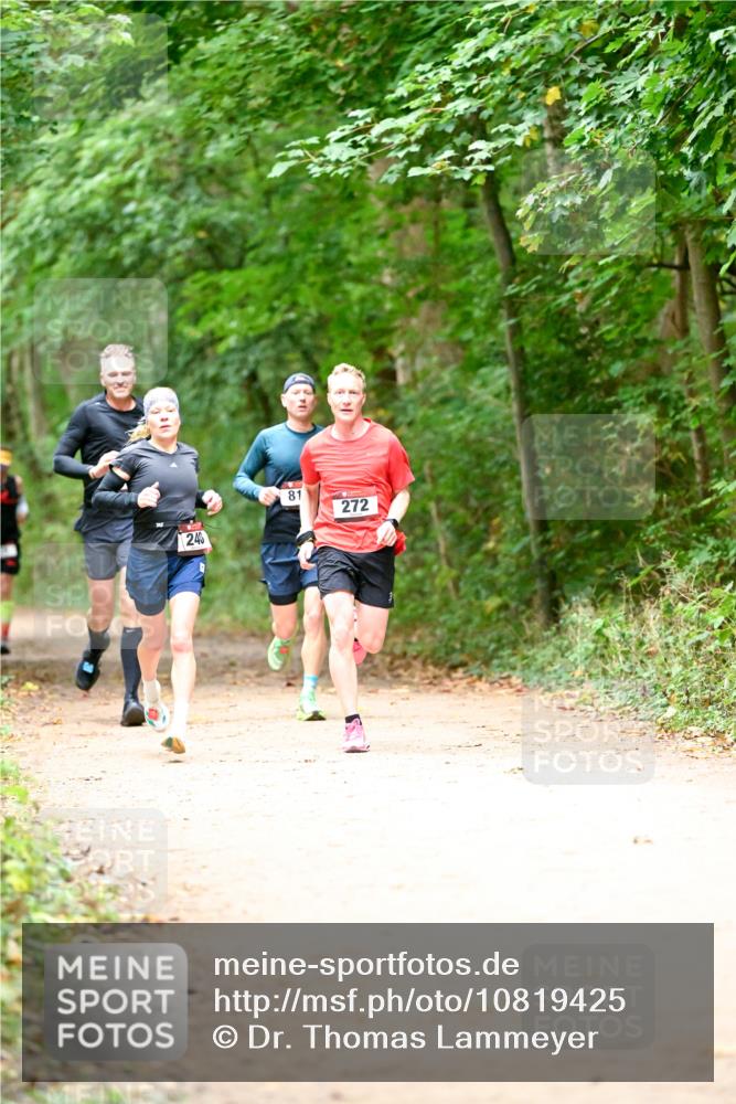 11.10.2026 - Bramfelder Halbmarathon 2026 Dr. Thomas Lammeyer http://msf.ph/oto/10819425 11.10.2026 10:13:43 Laufen 240, 81, 272 meine-sportfotos.de