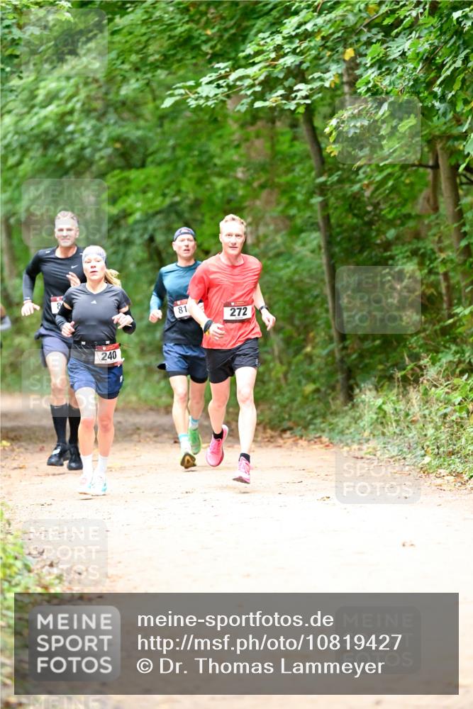 11.10.2026 - Bramfelder Halbmarathon 2026 Dr. Thomas Lammeyer http://msf.ph/oto/10819427 11.10.2026 10:13:44 Laufen 240, 81, 272 meine-sportfotos.de