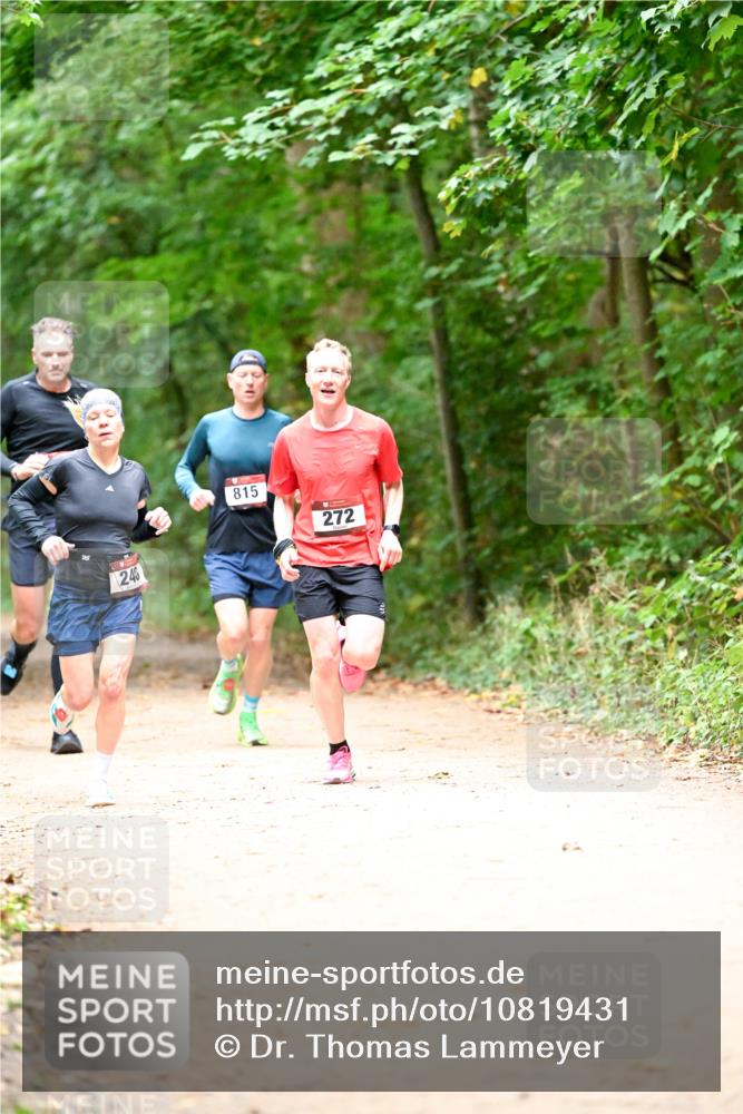 11.10.2026 - Bramfelder Halbmarathon 2026 Dr. Thomas Lammeyer http://msf.ph/oto/10819431 11.10.2026 10:13:44 Laufen 246, 815, 272 meine-sportfotos.de