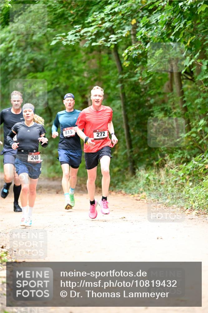 11.10.2026 - Bramfelder Halbmarathon 2026 Dr. Thomas Lammeyer http://msf.ph/oto/10819432 11.10.2026 10:13:44 Laufen 240, 815, 272 meine-sportfotos.de
