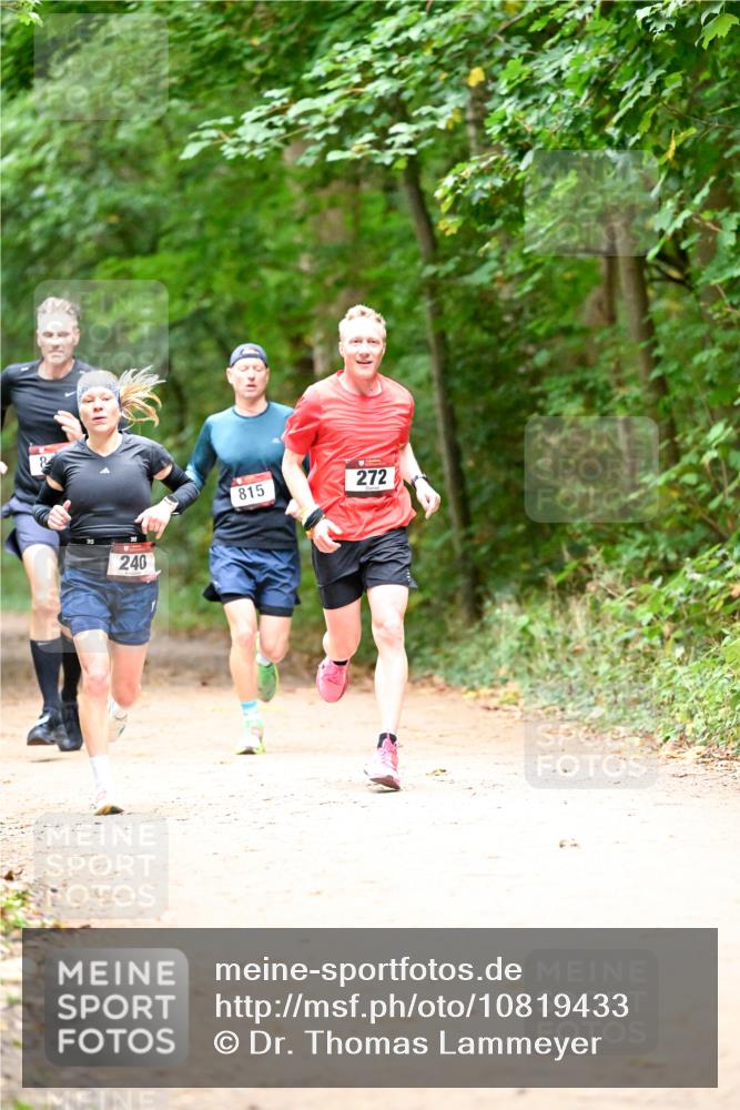 11.10.2026 - Bramfelder Halbmarathon 2026 Dr. Thomas Lammeyer http://msf.ph/oto/10819433 11.10.2026 10:13:44 Laufen 240, 815, 272 meine-sportfotos.de