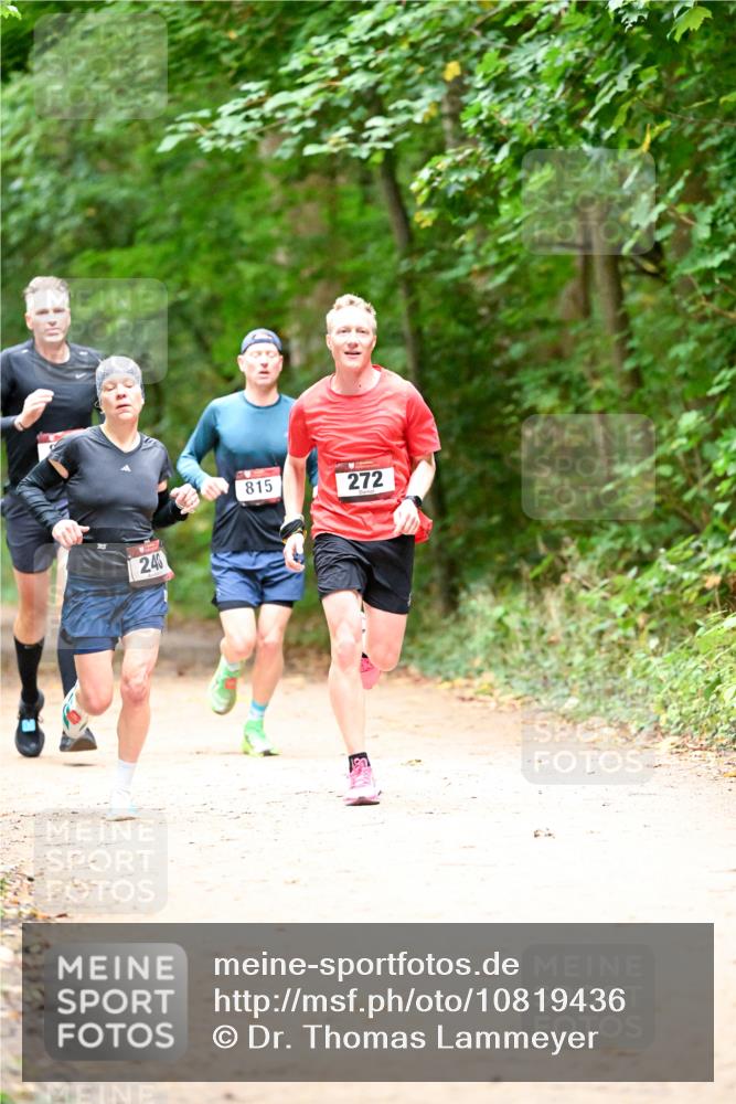 11.10.2026 - Bramfelder Halbmarathon 2026 Dr. Thomas Lammeyer http://msf.ph/oto/10819436 11.10.2026 10:13:45 Laufen 246, 815, 272 meine-sportfotos.de