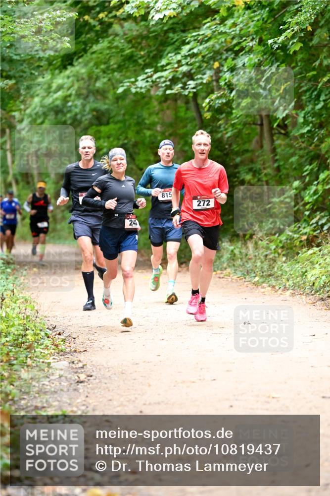 11.10.2026 - Bramfelder Halbmarathon 2026 Dr. Thomas Lammeyer http://msf.ph/oto/10819437 11.10.2026 10:13:45 Laufen 240, 815, 272 meine-sportfotos.de