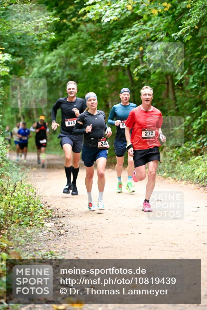 11.10.2026 - Bramfelder Halbmarathon 2026 Dr. Thomas Lammeyer http://msf.ph/oto/10819439 11.10.2026 10:13:46 Laufen 814, 240, 8, 272 meine-sportfotos.de