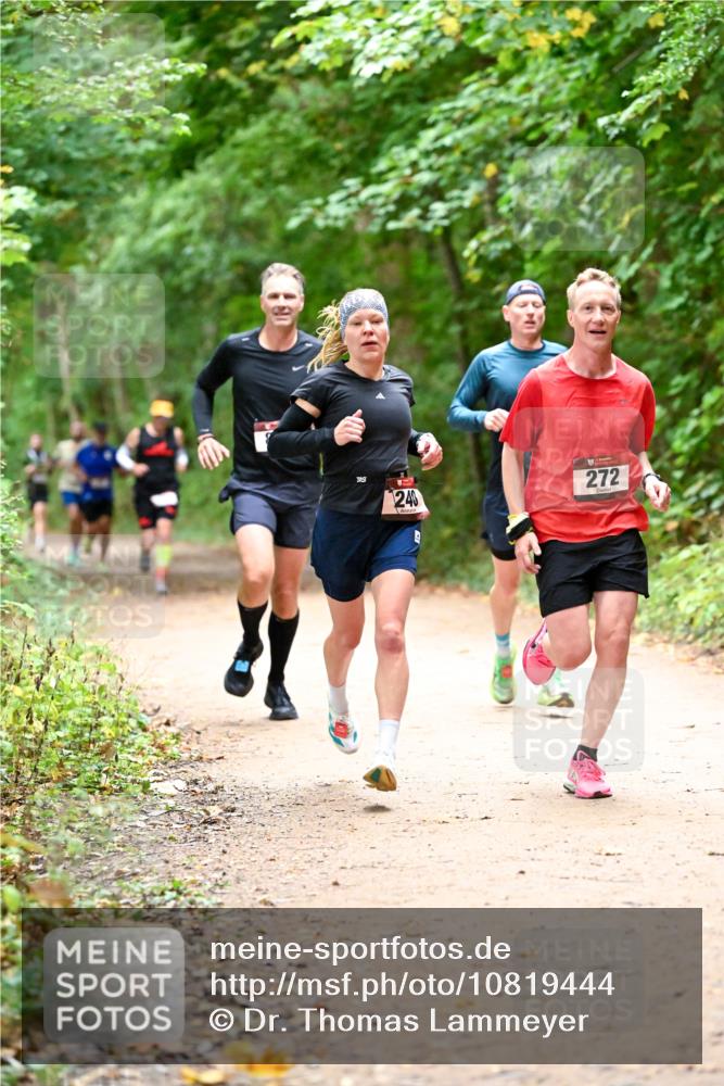 11.10.2026 - Bramfelder Halbmarathon 2026 Dr. Thomas Lammeyer http://msf.ph/oto/10819444 11.10.2026 10:13:47 Laufen 240, 272 meine-sportfotos.de