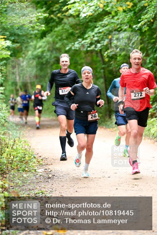 11.10.2026 - Bramfelder Halbmarathon 2026 Dr. Thomas Lammeyer http://msf.ph/oto/10819445 11.10.2026 10:13:47 Laufen 81, 240, 272 meine-sportfotos.de
