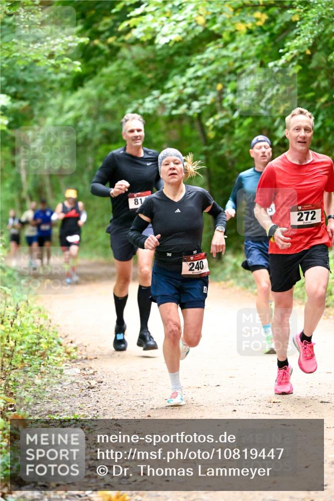 11.10.2026 - Bramfelder Halbmarathon 2026 Dr. Thomas Lammeyer http://msf.ph/oto/10819447 11.10.2026 10:13:47 Laufen 81, 240, 272, 251 meine-sportfotos.de