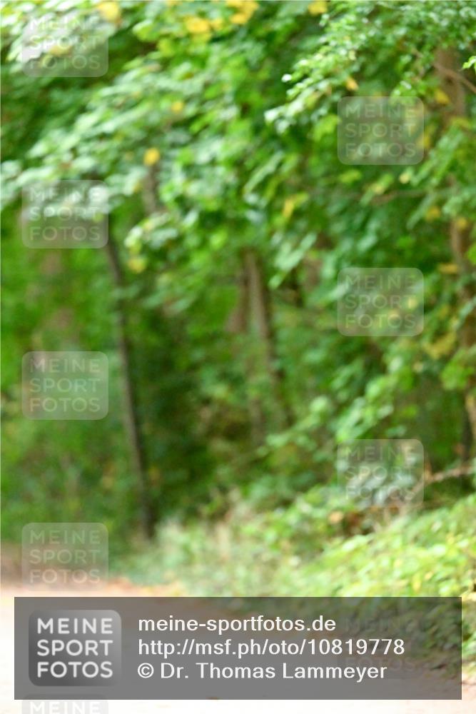 11.10.2026 - Bramfelder Halbmarathon 2026 Dr. Thomas Lammeyer http://msf.ph/oto/10819778 11.10.2026 10:15:54 Laufen  meine-sportfotos.de