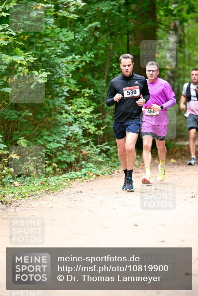 11.10.2026 - Bramfelder Halbmarathon 2026 Dr. Thomas Lammeyer http://msf.ph/oto/10819900 11.10.2026 10:17:47 Laufen 530, 460 meine-sportfotos.de