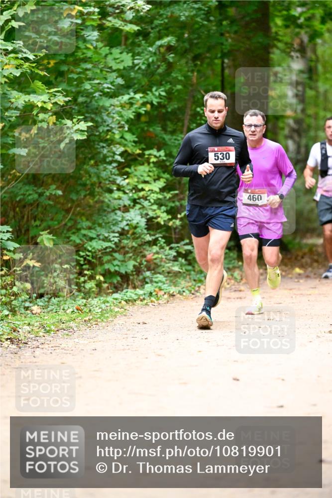 11.10.2026 - Bramfelder Halbmarathon 2026 Dr. Thomas Lammeyer http://msf.ph/oto/10819901 11.10.2026 10:17:47 Laufen 530, 460 meine-sportfotos.de