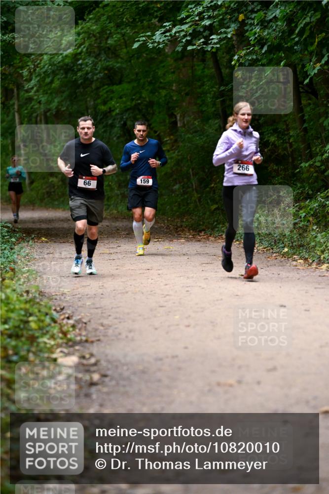 11.10.2026 - Bramfelder Halbmarathon 2026 Dr. Thomas Lammeyer http://msf.ph/oto/10820010 11.10.2026 10:18:46 Laufen 66, 159, 266 meine-sportfotos.de