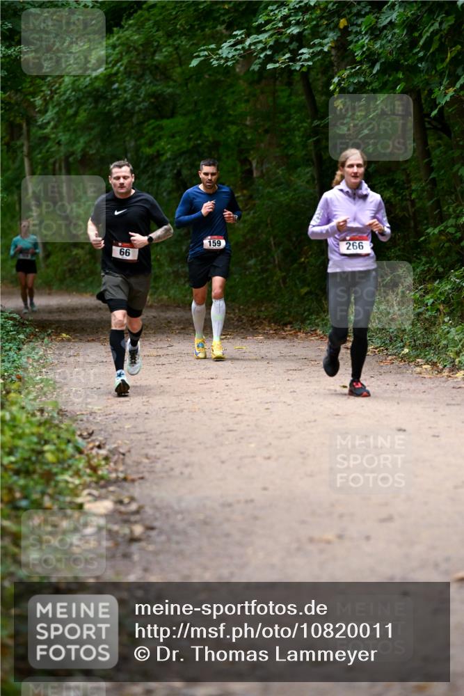 11.10.2026 - Bramfelder Halbmarathon 2026 Dr. Thomas Lammeyer http://msf.ph/oto/10820011 11.10.2026 10:18:47 Laufen 159, 266, 66 meine-sportfotos.de