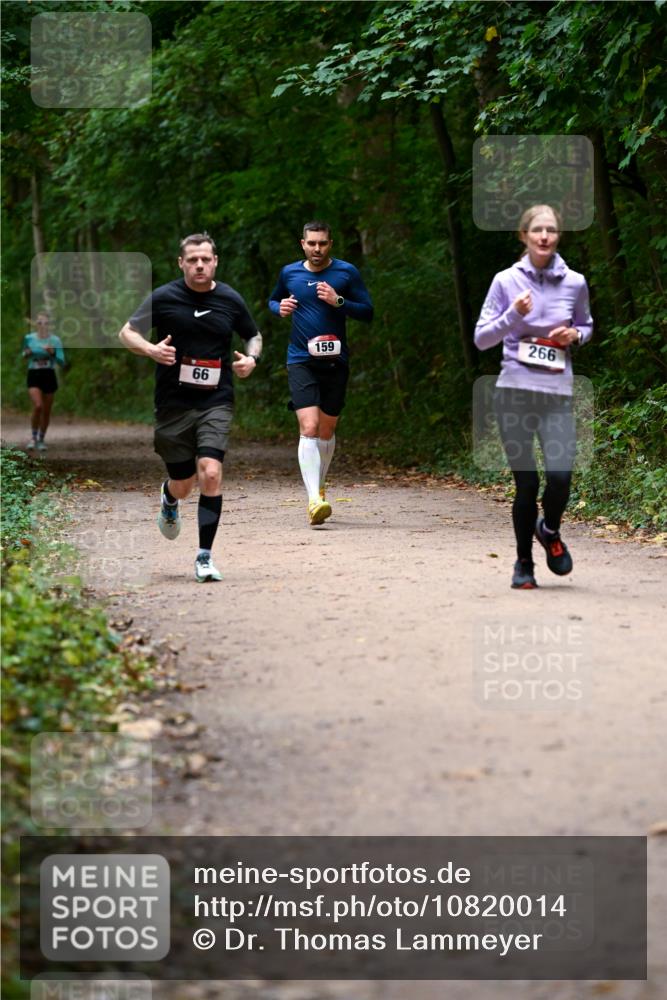 11.10.2026 - Bramfelder Halbmarathon 2026 Dr. Thomas Lammeyer http://msf.ph/oto/10820014 11.10.2026 10:18:47 Laufen 66, 159, 266 meine-sportfotos.de