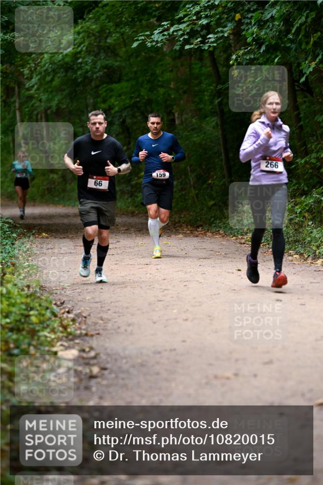 11.10.2026 - Bramfelder Halbmarathon 2026 Dr. Thomas Lammeyer http://msf.ph/oto/10820015 11.10.2026 10:18:47 Laufen 66, 159, 266 meine-sportfotos.de