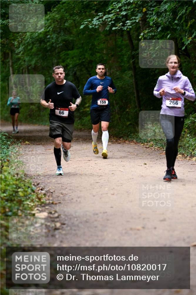 11.10.2026 - Bramfelder Halbmarathon 2026 Dr. Thomas Lammeyer http://msf.ph/oto/10820017 11.10.2026 10:18:47 Laufen 66, 159, 266 meine-sportfotos.de