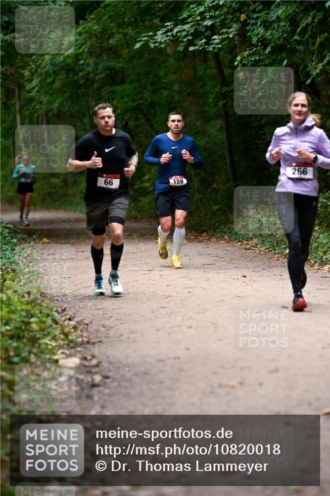 11.10.2026 - Bramfelder Halbmarathon 2026 Dr. Thomas Lammeyer http://msf.ph/oto/10820018 11.10.2026 10:18:48 Laufen 159, 66, 266 meine-sportfotos.de