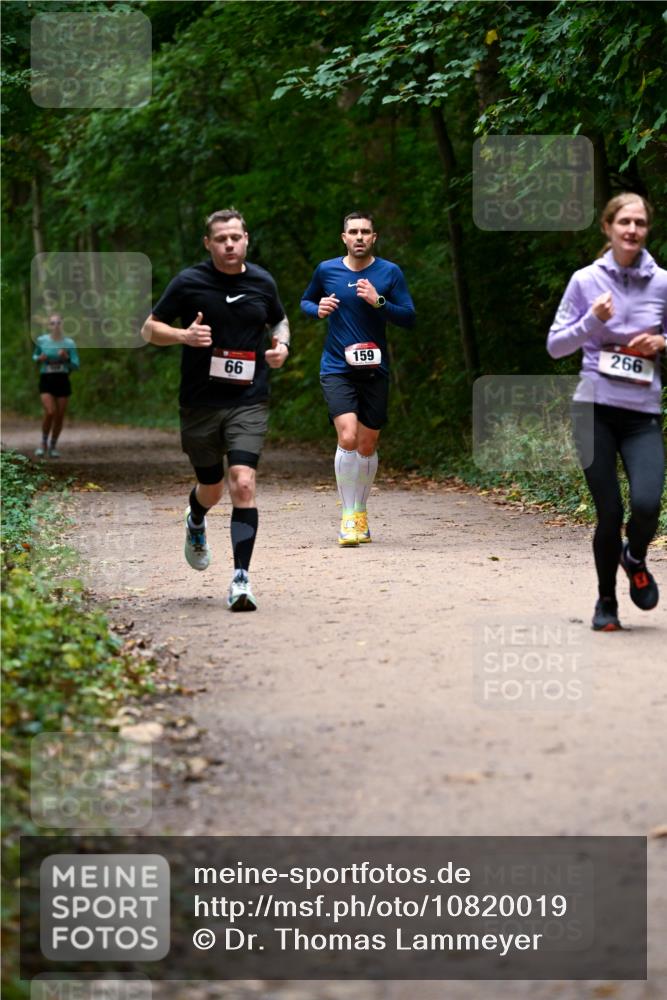 11.10.2026 - Bramfelder Halbmarathon 2026 Dr. Thomas Lammeyer http://msf.ph/oto/10820019 11.10.2026 10:18:48 Laufen 66, 159, 266 meine-sportfotos.de