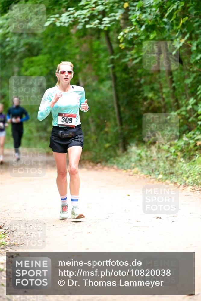 11.10.2026 - Bramfelder Halbmarathon 2026 Dr. Thomas Lammeyer http://msf.ph/oto/10820038 11.10.2026 10:18:57 Laufen 309 meine-sportfotos.de