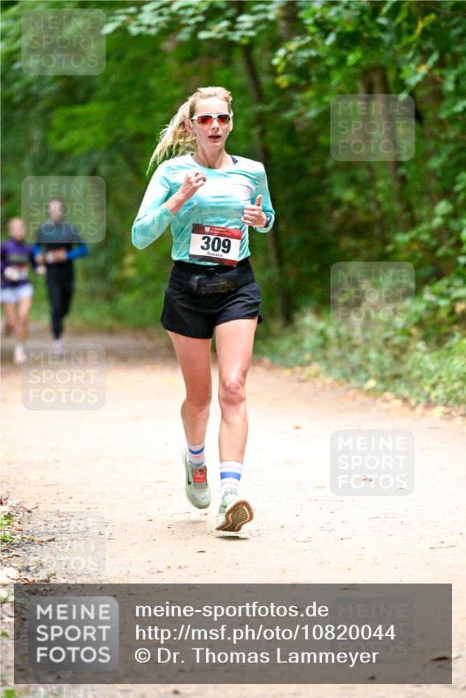 11.10.2026 - Bramfelder Halbmarathon 2026 Dr. Thomas Lammeyer http://msf.ph/oto/10820044 11.10.2026 10:18:58 Laufen 309 meine-sportfotos.de